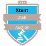 Xtent Auction