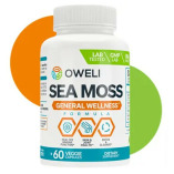 Best Sea Moss