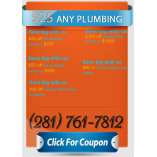 Plumbing Service Deer Park