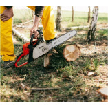 Commerce City Tree Doctors