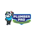 Plumber Pro Service & Drain