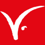 Capricorn Consulting GmbH logo