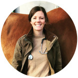 Kernkompetenz Pferd - Dr. Veronika Klein