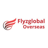 FlyzGlobal