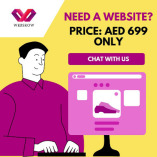 WebsRow IT Solutions | Web Design & Digital Marketing Agency in UAE