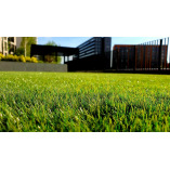 Antelope Artificial Grass