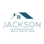 Mold Remediation Jackson MI Pros