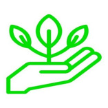 Boise Landscaping Company