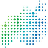 DIZ - Digitales Innovationszentrum Neubrandenburg GmbH logo