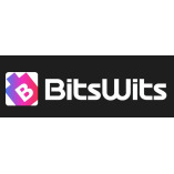 BitsWits