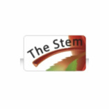 The Stem Group