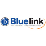 bluelinkservice