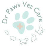 drpawsvetcare.com - Vet clinic Singapore