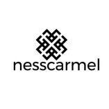 Ness Carmel Construction