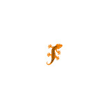 Reifen24 logo