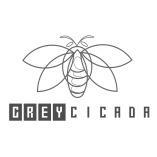 Grey Cicada