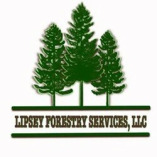 Lipsey Forestry Services, LLC