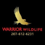 Warrior Wildlife