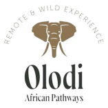 Olodi African Pathways