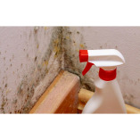 Mold Experts of Omaha