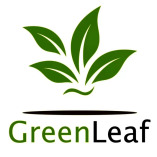 Green leaf