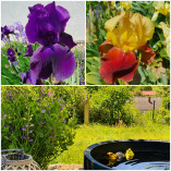 Garten- und Außenanlagenplanung Nagl und Reichmeyer logo