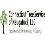 Connecticut Tree Service of Naugatuck LLC