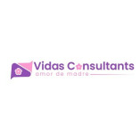 Vida Consulting LLC