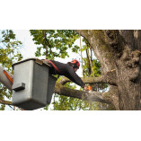 North Brighton Tree Removal Solutions