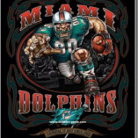 Miami Dolphins Football