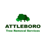 Attleboro Tree Removal Services