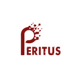 Peritus Infotech Solutions : Digital Marketing Agency