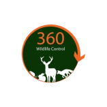 360 Wildlife Control
