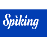 Spiking-Investment-Strategies