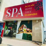 Happy Sunday SPA