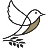 Bellwether Family Wealth | North York | Alan Cameron