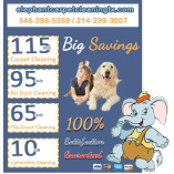 Elephant Carpet Cleaning Sugar Land TX