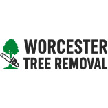 Worcester Tree Removal