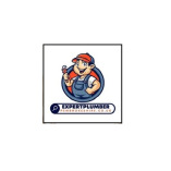 Expert Plumber Pembrokeshire