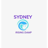 Sydney Rising Damp