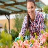 Pressure cleaning services