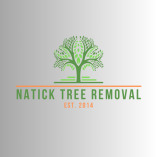 Natick Tree Removal