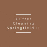 Gutter Cleaning Springfield IL