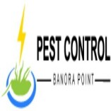 Pest Control Banora Point