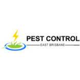 Spider Control East Brisbane