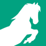 Spedition Peter Pfaffe e.K. logo