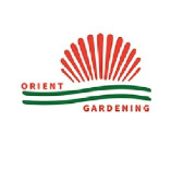 OrientGardening.com offers wholesale pachira plants for sale