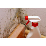 Spokane Mold Removal Solutions