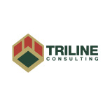 TRILINE CONSULTING LLC