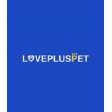 Best Dog Hip Brace For Sale | LOVEPLUSPET